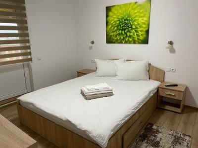 Casa Milla Hotel Sovata Eksteriør billede